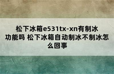 松下冰箱e531tx-xn有制冰功能吗 松下冰箱自动制冰不制冰怎么回事